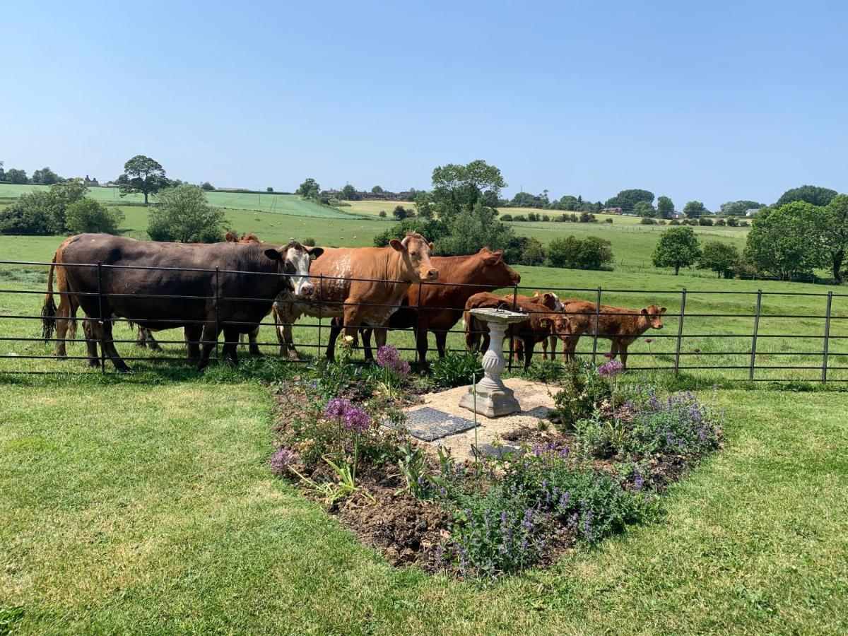 Weatherhead Farm Buckingham Exterior photo